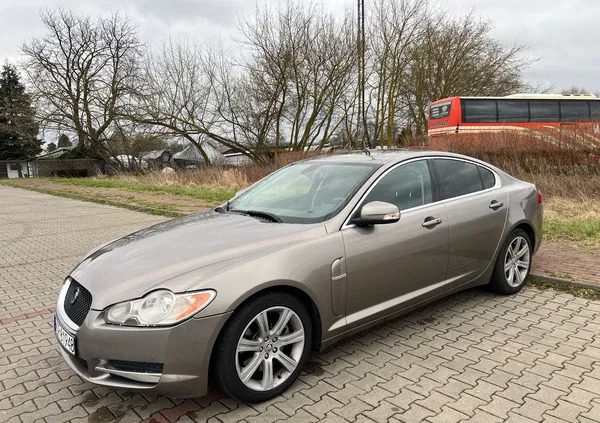 Jaguar XF cena 31900 przebieg: 196902, rok produkcji 2008 z Jarocin małe 277